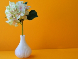Image of Дизайнерские вазы с тонким горлом